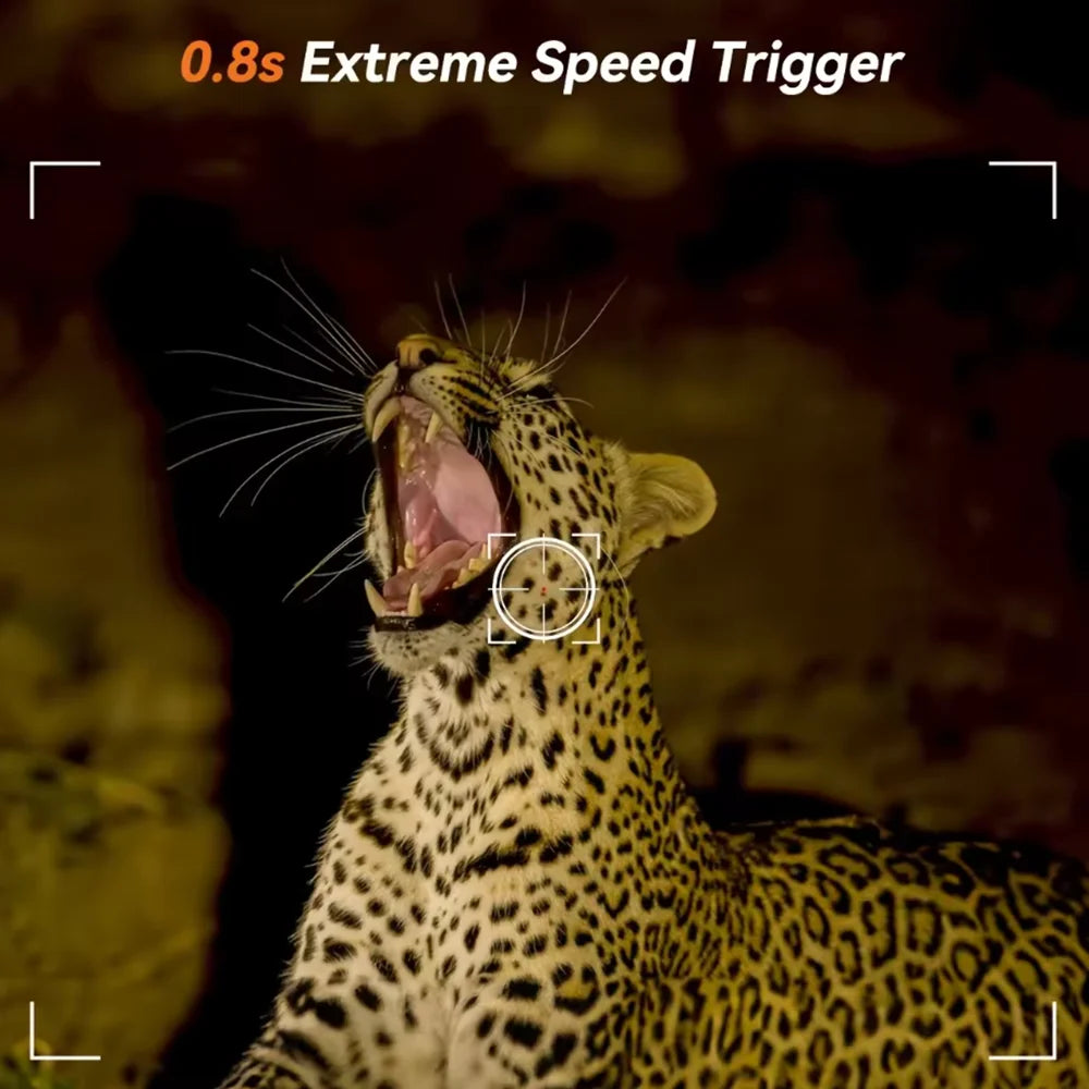 Hunting Camera